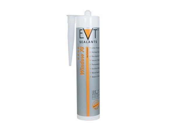 EVT Neutral Cure Silicone